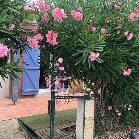 Maison Au Bord De * טוריי