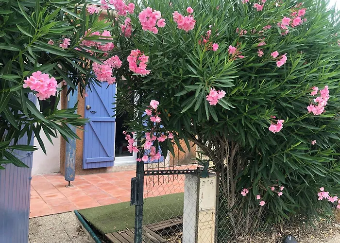 Maison Au Bord De * Torreilles